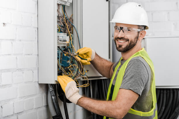 Best Electrical System Inspection  in Ludington, MI