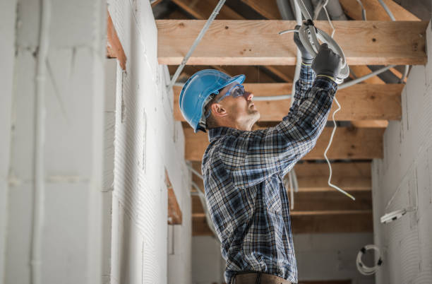 Best Industrial Electrical Services  in Ludington, MI