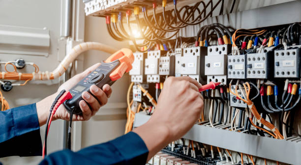 Best Ceiling Fan Installation Electrician  in Ludington, MI