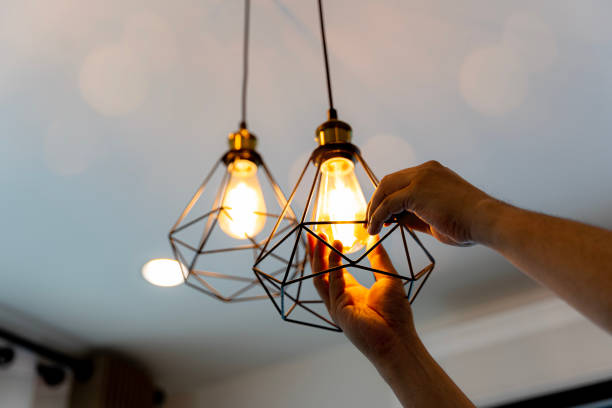Best Electric Panel Repair  in Ludington, MI
