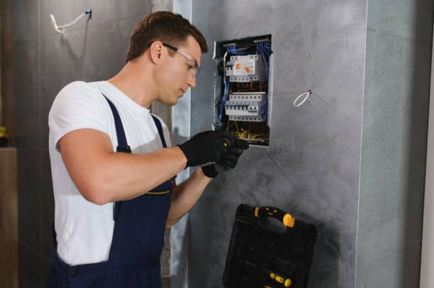 Best Electrical Rewiring Services  in Ludington, MI