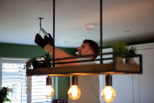 Best Outdoor Lighting Installation  in Ludington, MI
