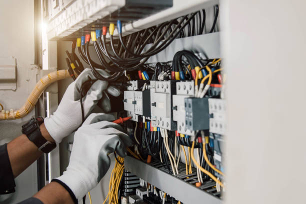 Best Electric Panel Repair  in Ludington, MI